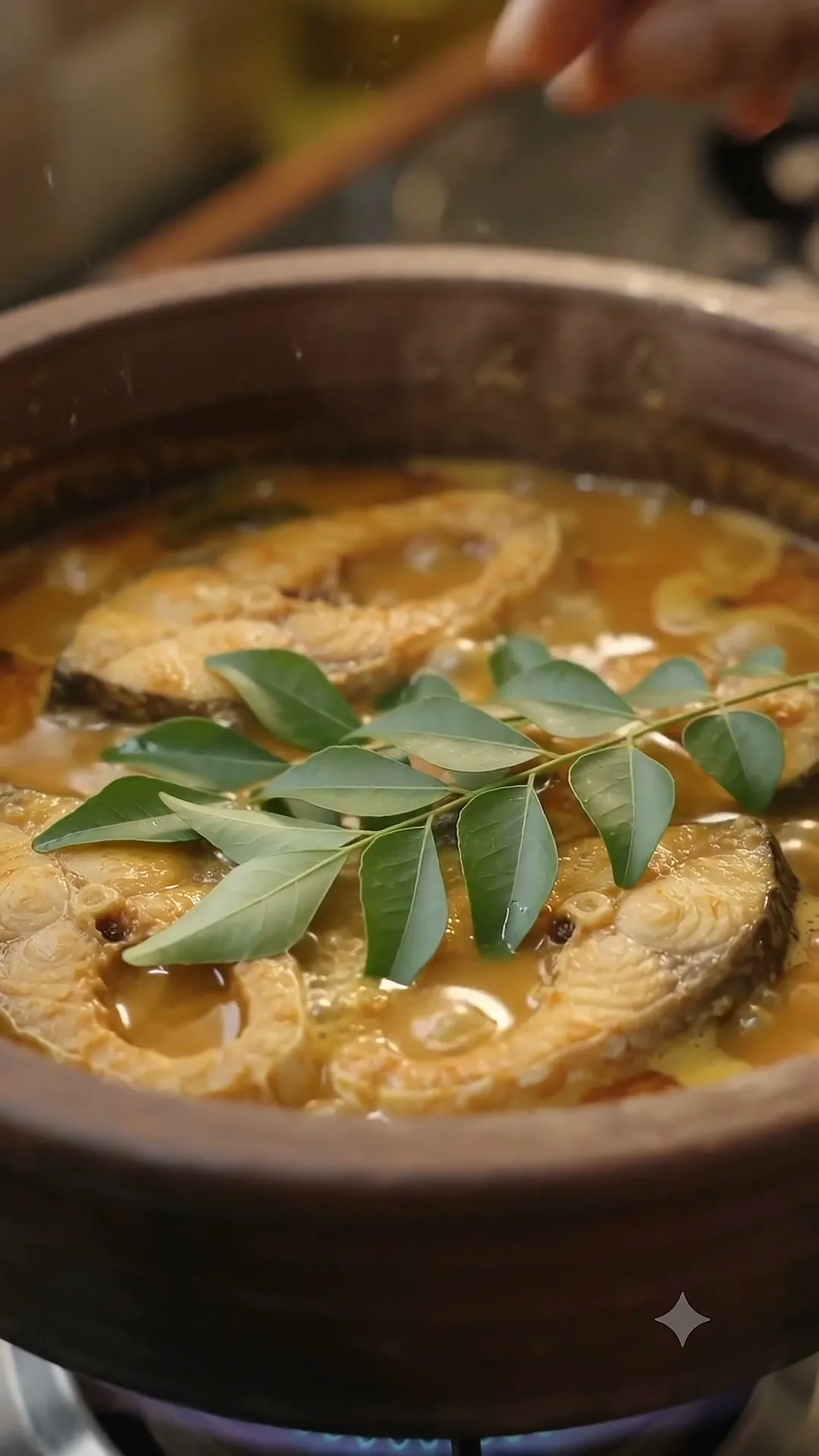 Fish Curry Making Video Preview