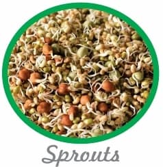 Sprouts